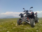 Uporabniški avatar
