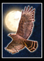 Uporabniški avatar