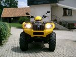 Uporabniški avatar