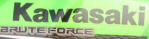 Uporabniški avatar